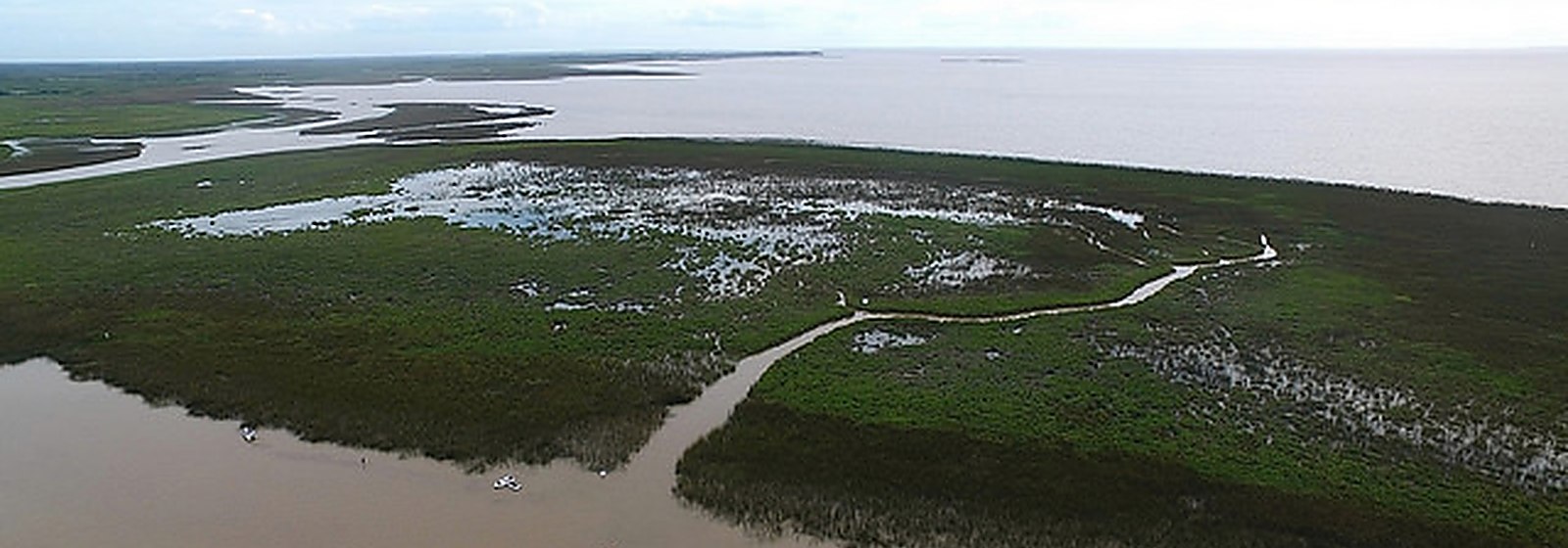 Vista aérea de un humedal con islas bajas de vegetación y agua de color tierra.